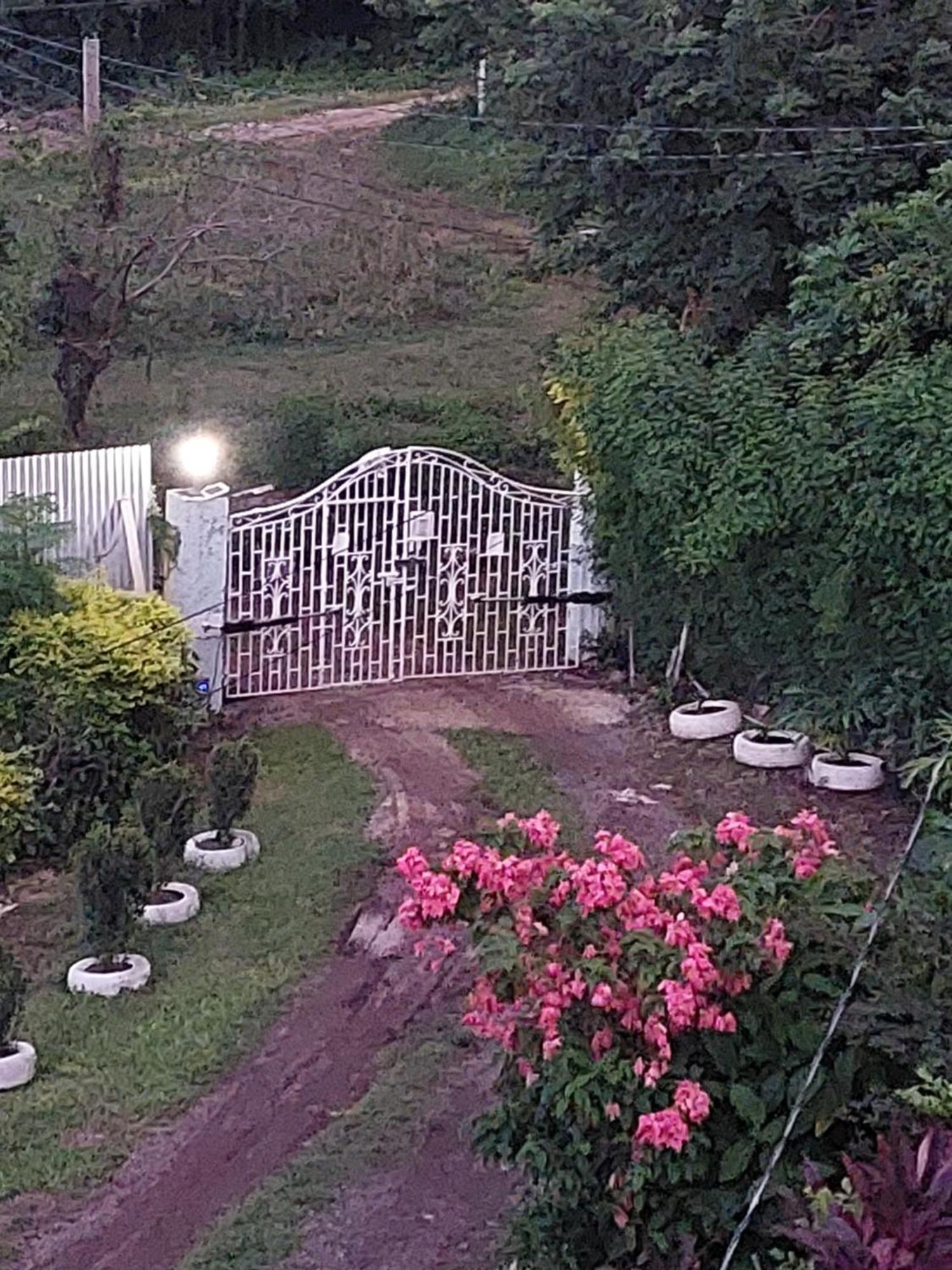 Alex'S Place - Tim Pappies Port Antonio Exterior photo