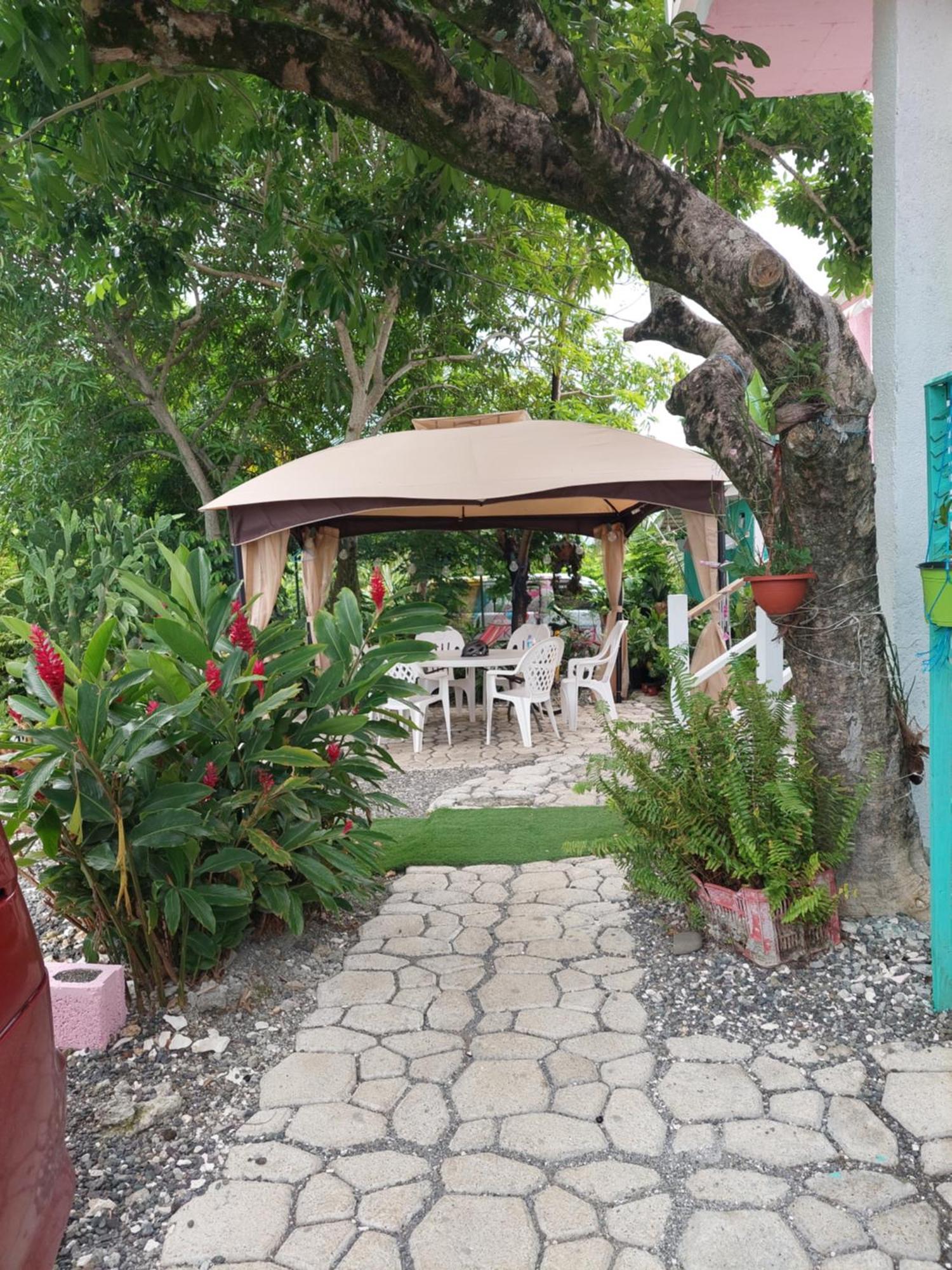 Alex'S Place - Tim Pappies Port Antonio Exterior photo