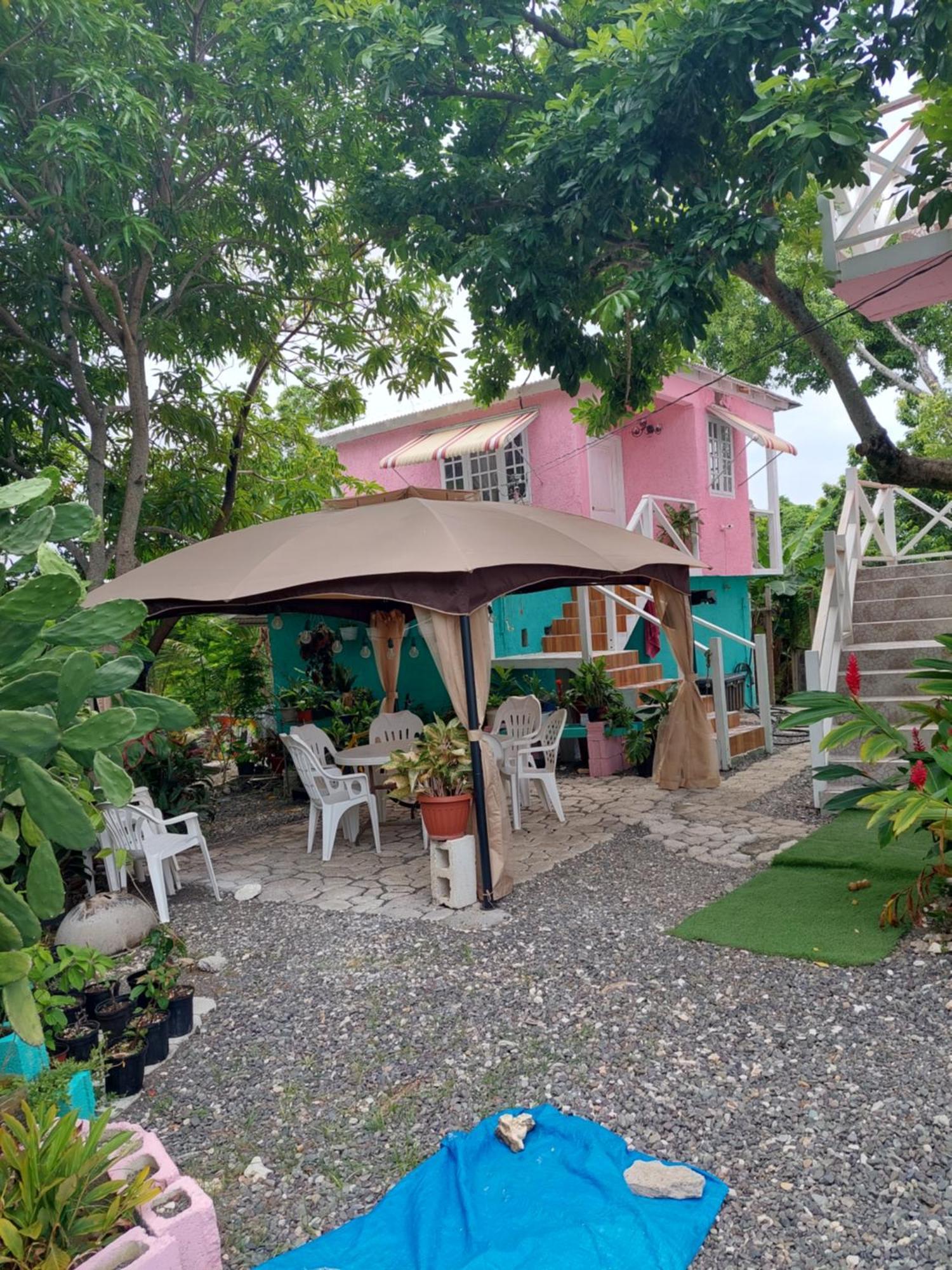 Alex'S Place - Tim Pappies Port Antonio Exterior photo