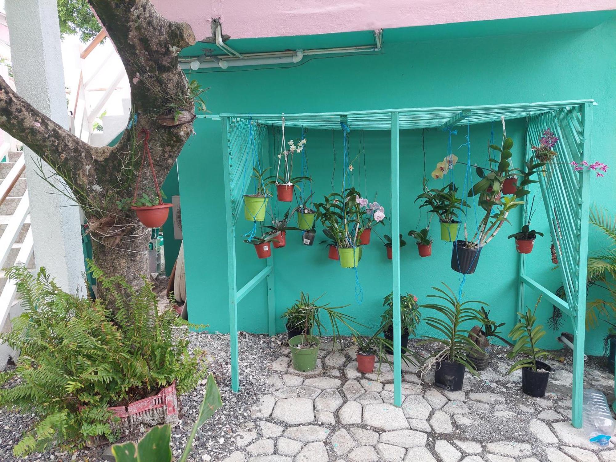 Alex'S Place - Tim Pappies Port Antonio Exterior photo