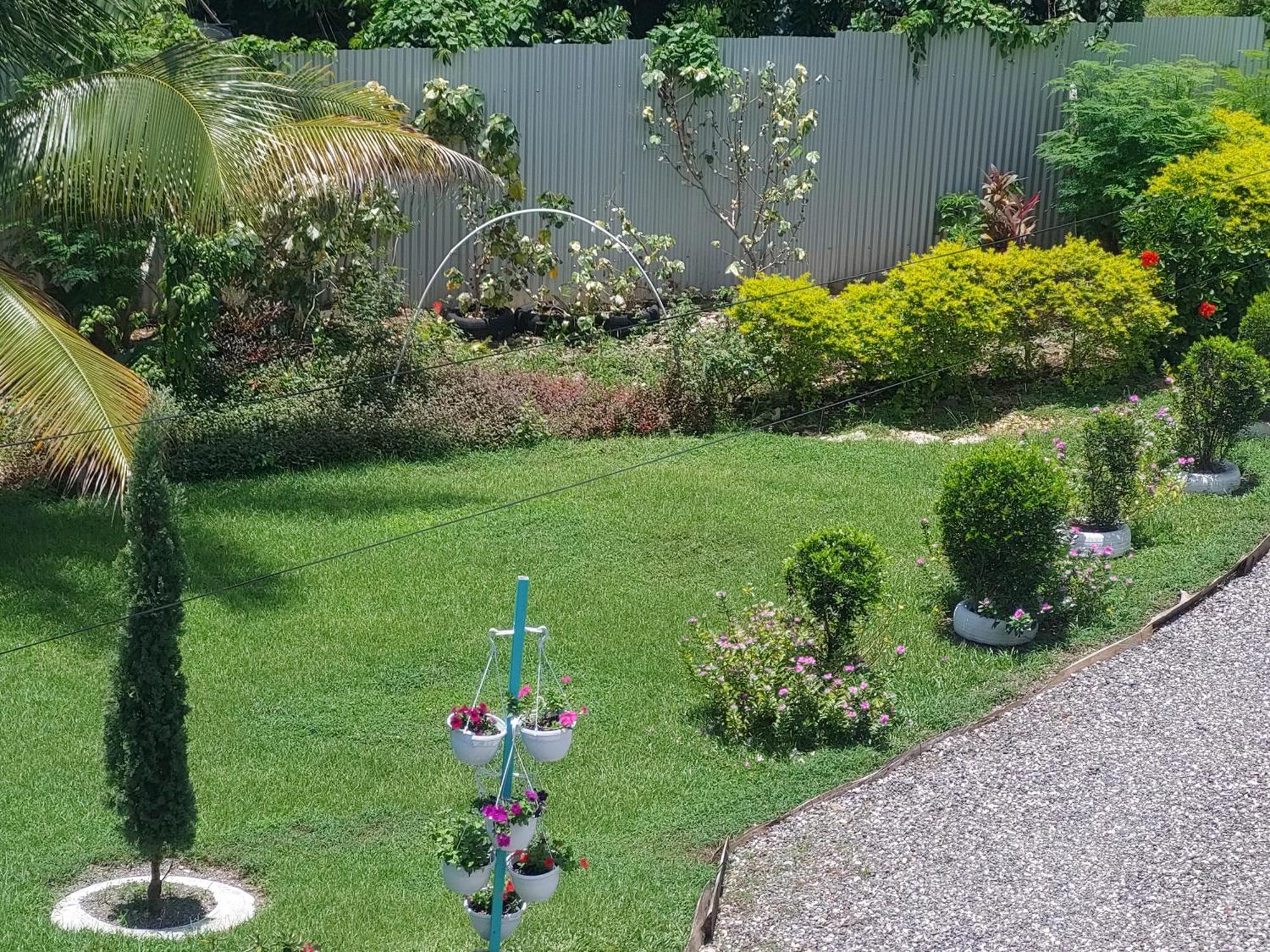 Alex'S Place - Tim Pappies Port Antonio Exterior photo